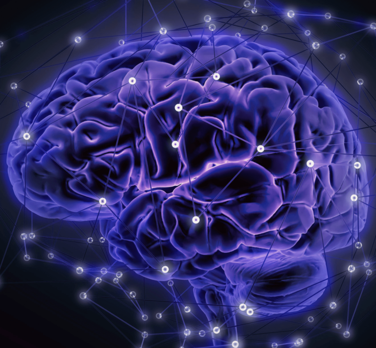 Brain graphic